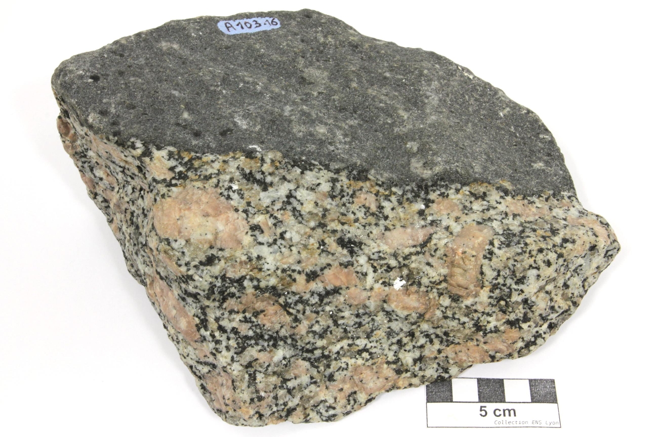 Granite porphyroïde à enclave basique microgrenue Granite de l’Aber-Ildut Massif armoricain  Lanidult Proximité de Kerzéven